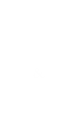 sourcil & norn